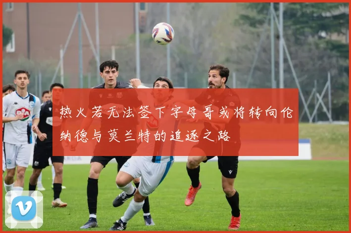 热火若无法签下字母哥或将转向伦纳德与莫兰特的追逐之路
